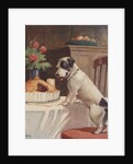 Illustration of dog eyeing pie on table by Anonymous