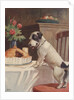 Illustration of dog eyeing pie on table by Anonymous
