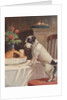 Illustration of dog eyeing pie on table by Anonymous