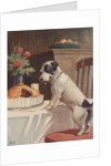 Illustration of dog eyeing pie on table by Anonymous