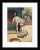 Illustration of dog looking at another dog holding bone by Anonymous