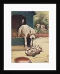Illustration of dog looking at another dog holding bone by Anonymous