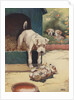 Illustration of dog looking at another dog holding bone by Anonymous
