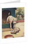 Illustration of dog looking at another dog holding bone by Anonymous