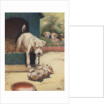 Illustration of dog looking at another dog holding bone by Anonymous