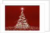 Christmas tree shaped by Anonymous
