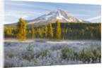 morning frost in meadow, Mt. Hood, Oregon. by Anonymous