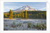 morning frost in meadow, Mt. Hood, Oregon. by Anonymous