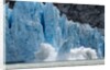 Icebergs Calving from Glacier, Alaska by Anonymous
