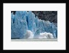 Icebergs Calving from Glacier, Alaska by Anonymous