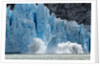 Icebergs Calving from Glacier, Alaska by Anonymous