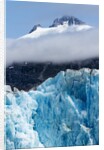 Mountain Peaks and Dawes Glacier, Alaska by Anonymous