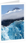 Mountain Peaks and Dawes Glacier, Alaska by Anonymous