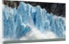 Calving Icebergs from Dawes Glacier, Alaska by Anonymous