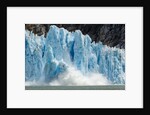 Calving Icebergs from Dawes Glacier, Alaska by Anonymous