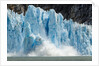 Calving Icebergs from Dawes Glacier, Alaska by Anonymous