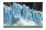 Calving Icebergs from Dawes Glacier, Alaska by Anonymous