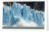 Calving Icebergs from Dawes Glacier, Alaska by Anonymous