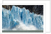Calving Icebergs from Dawes Glacier, Alaska by Anonymous