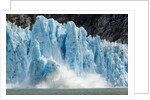 Calving Icebergs from Dawes Glacier, Alaska by Anonymous
