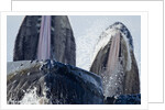 Group Feeding Humpback Whales, Alaska by Anonymous