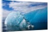 Melting Blue Iceberg, Alaska by Anonymous