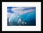 Melting Blue Iceberg, Alaska by Anonymous