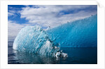 Melting Blue Iceberg, Alaska by Anonymous