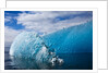 Melting Blue Iceberg, Alaska by Anonymous