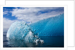 Melting Blue Iceberg, Alaska by Anonymous