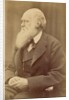 Charles Darwin by Anonymous
