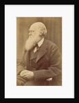 Charles Darwin by Anonymous