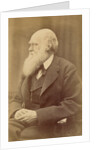 Charles Darwin by Anonymous
