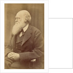 Charles Darwin by Anonymous