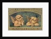 Pigs with wings by Anonymous