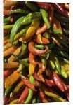 Chile peppers by Anonymous