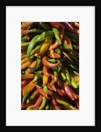 Chile peppers by Anonymous