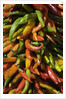 Chile peppers by Anonymous