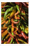 Chile peppers by Anonymous