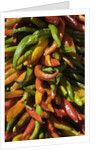 Chile peppers by Anonymous