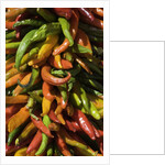 Chile peppers by Anonymous