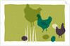 Chickens by Anonymous