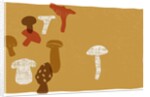 Mushrooms by Anonymous