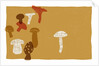Mushrooms by Anonymous