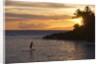 Stand-up paddler at sunset on Maui, Hawaii by Anonymous