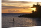 Stand-up paddler at sunset on Maui, Hawaii by Anonymous