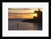 Stand-up paddler at sunset on Maui, Hawaii by Anonymous