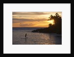 Stand-up paddler at sunset on Maui, Hawaii by Anonymous