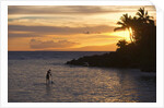 Stand-up paddler at sunset on Maui, Hawaii by Anonymous
