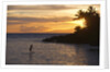 Stand-up paddler at sunset on Maui, Hawaii by Anonymous